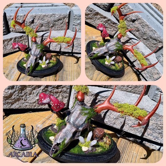 Stag Memento Mori